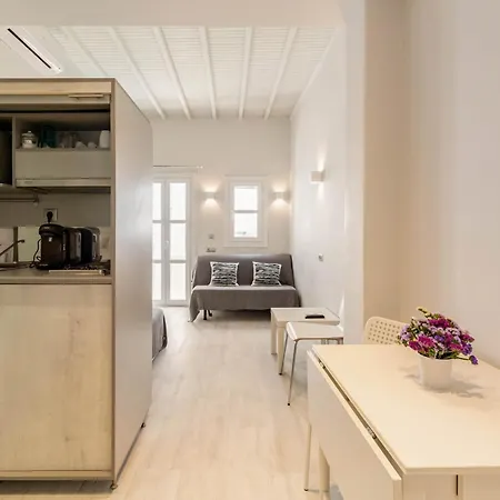 Elenitas Flat Next To The Windmills Appartamento Mykonos Town
